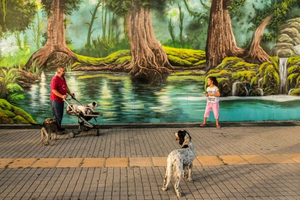 Çevre Düzenleme Projeleri