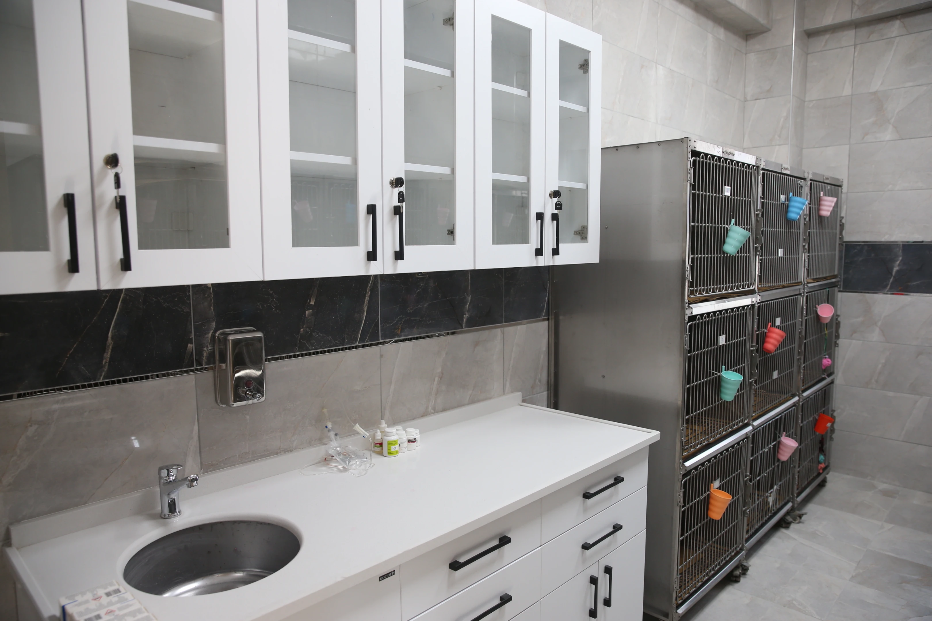 Sahipsiz Hayvan Geçici Bakımevi