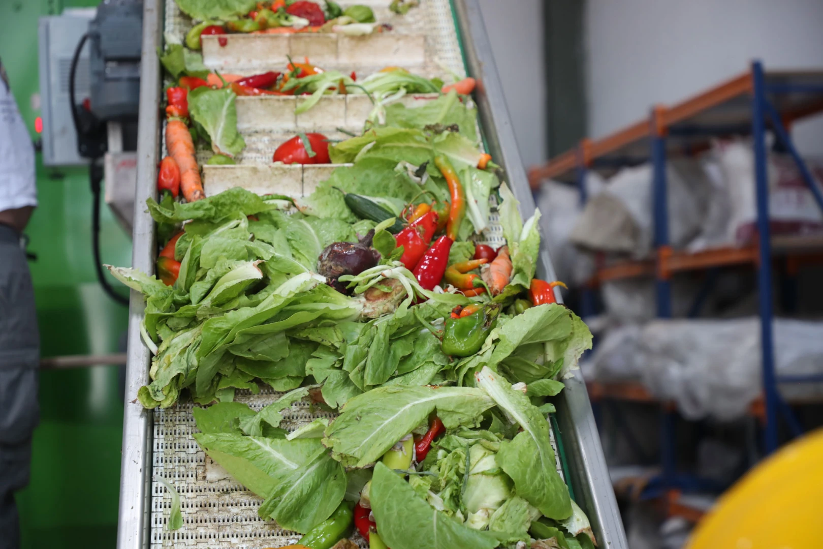 Organik Atık Geri Dönüşümü