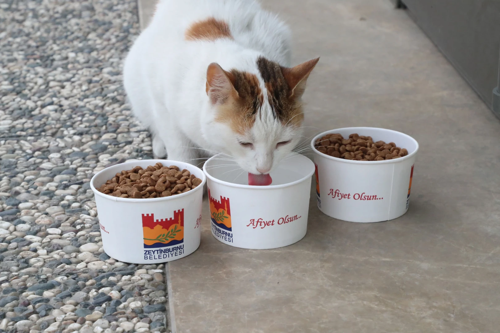 Pandemiyle Mücadele