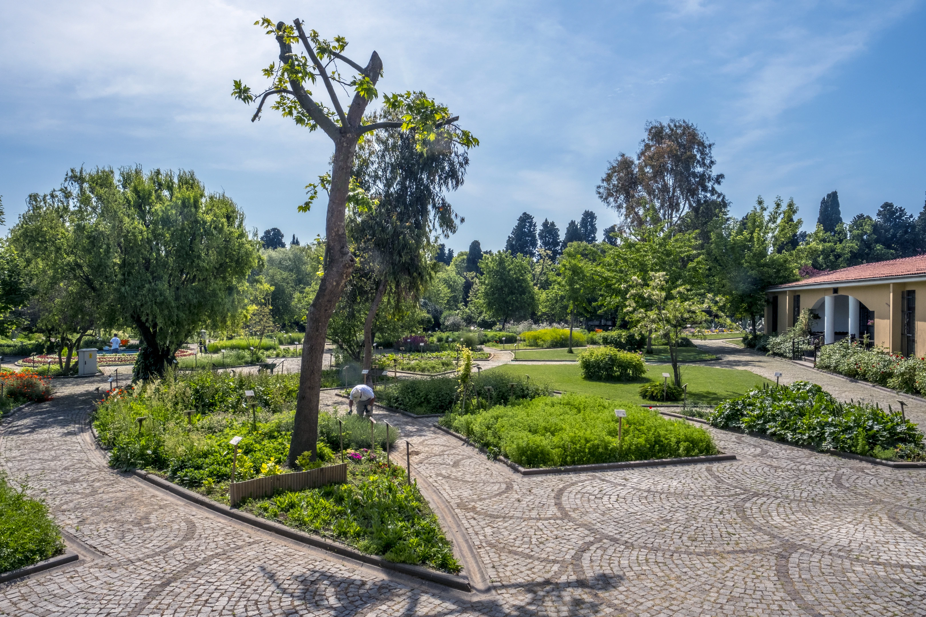 Zeytinburnu Tıbbi Bitkiler Bahçesi
